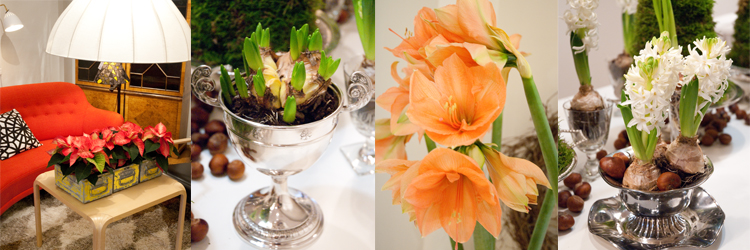 Stämningsfull jul med blommor Stämningsfull jul med blommor